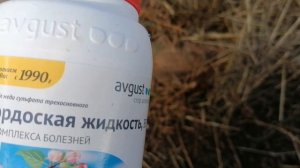 Опять Про Бордоскую Жидкость // Как ЕЕ РАЗВЕСТИ // С.Х.У