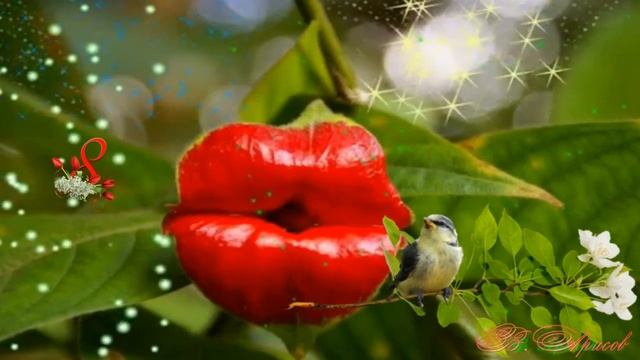 Поцелуй природы смотреть онлайн