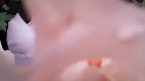 Цветение розового ириса в саду