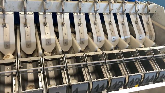 CLIENT: ROMAGNOLO PIERINO AZ. AGR. - GENTLE WEIGHER FOR GARLIC - PESATRICE DELICATA PER AGLIO смотреть онлайн