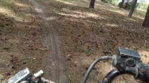 Что делать если скутер стреляет в трубу,не едет,глохнет как только садишься на него|Ответ здесь|