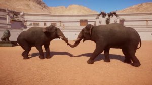 Planet Zoo (1.12) All Animal Fights