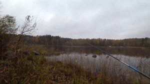 Рыбалка на Вуоксе на лосося и Форель, Рыбалка в Ромашках на Вуоксе, Дорога до Барышево.