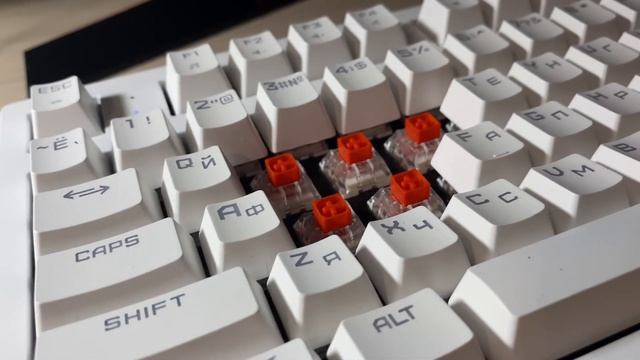 Обзор клавиатуры ZET Gaming Immortality TKL