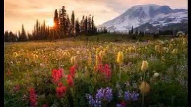 Пластинка На Теплоходе Музыка Играет Минусовки.mp4 смотреть онлайн