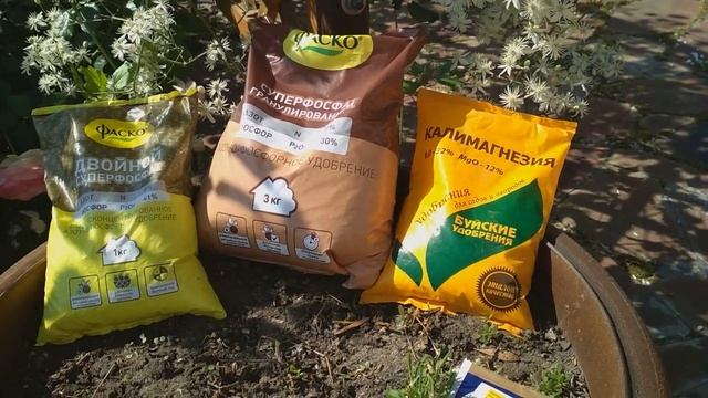 Работы в розарии август сентябрь смотреть онлайн