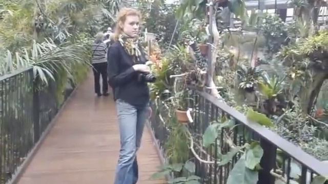 Биосфера в Потсдаме смотреть онлайн