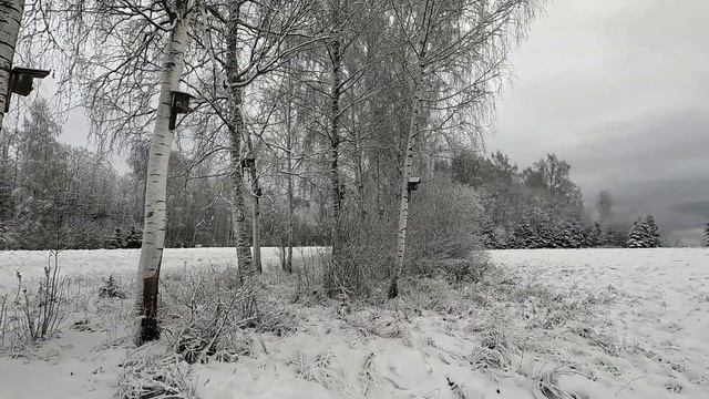 Зимние дороги.Почему не завелся мотоблок? смотреть онлайн
