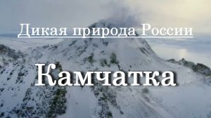 Дикая природа России - Камчатка