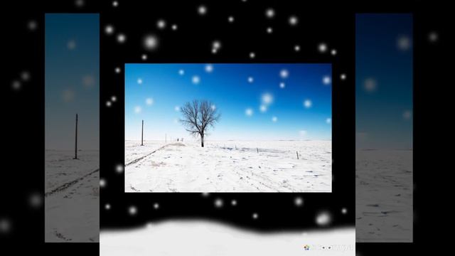 25 ноября 2022 г.