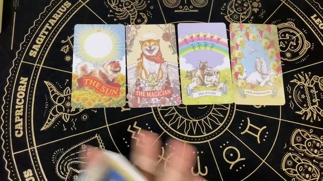 Random | (Timeless) เค้าประทับใจอะไรในตัวคุณและรู้สึกยังไงกับคุณตอนนี้ смотреть онлайн