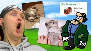 КОТЕЙКИ ЗАВИРУСИЛИСЬ В БАБЛ КВАСЕ ► Бабл Квас #8