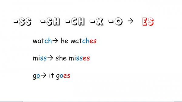 Present Simple for kids/ Learn English/ ESL