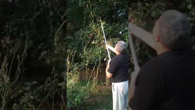 Сбор огурцов смотреть онлайн