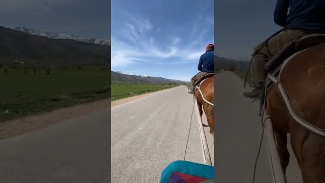 Ат-Араба. Конная повозка. смотреть онлайн