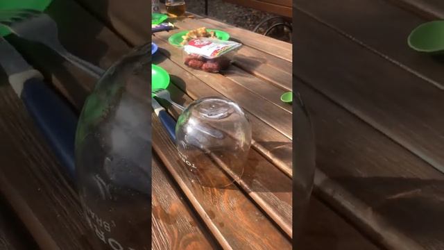 Поймали осу смотреть онлайн