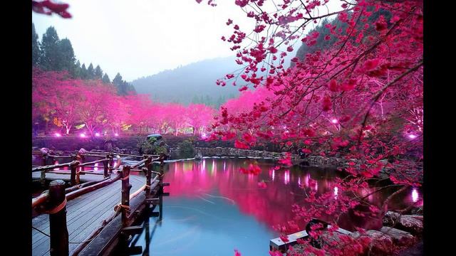 музыка  для отличного настроения 3