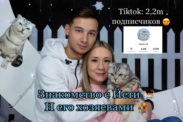 Кот Йети. Знакомство. Тикток