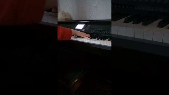 Красиво играет не пианино смотреть онлайн