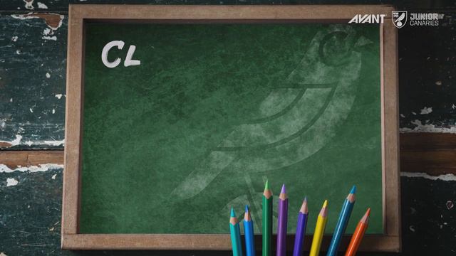 JUNIOR CANARIES | Learn Finnish with Teemu Pukki! смотреть онлайн