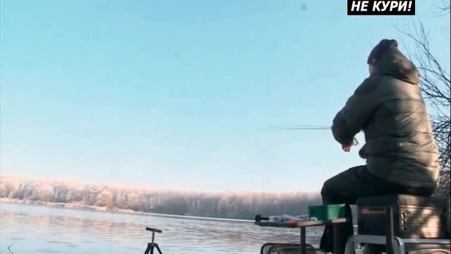 Ловля карпа на метод. Ловля на фидер карпа осенью - 2021г смотреть онлайн