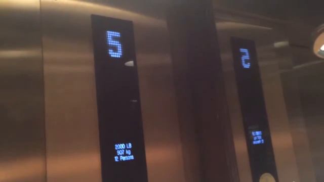 Elevator 4 Points Sheraton French Quarter смотреть онлайн
