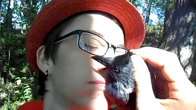 Галка расшмякалась))