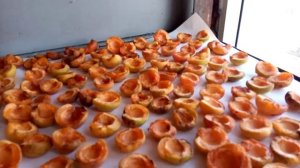 Как сделать курагу из абрикос своими руками!!!  Самый быстрый способ!!!