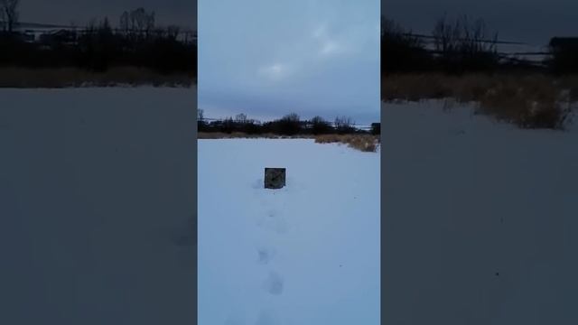 РЕКОМЕНДУЮ. ИСПЫТАНИЯ ТРИ ПУЛИ ПАСТУХОВА В ПАТРОНЕ 32 КАЛИБРА смотреть онлайн