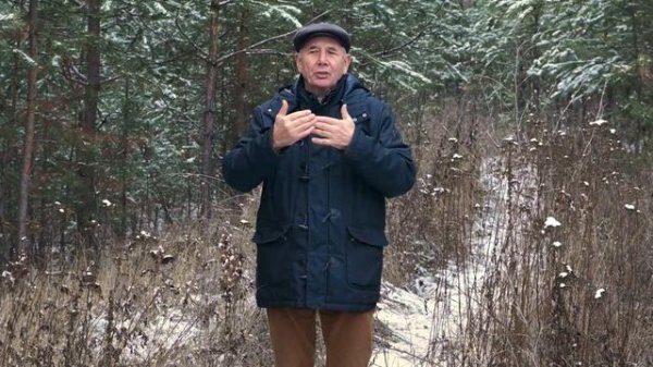 #09 Бальзам для позвоночника. Станислав Лосев_ Как начать чувствовать и включить свое сердце