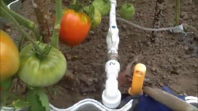 Полив капельно струйный ,для теплиц , из ПП труб Окончание. смотреть онлайн