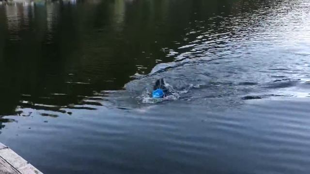 Training for Ironman - Improving Time смотреть онлайн