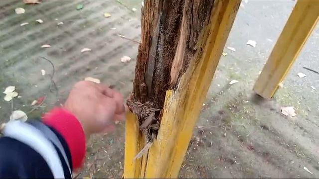 ПРЕФЕКТ ПО ЗАО МОСКВЫ АЛЕКСАНДРОВ НЕ МОЖЕТ ОБЕСПЕЧИТЬ БЕЗОПАСНОСТЬ ЖИТЕЛЕЙ И ДЕТЕЙ. смотреть онлайн