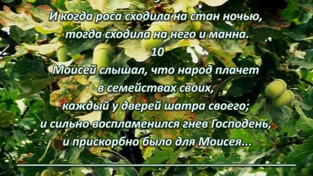 Сидели и плакали и говорили: кто накормит нас мясом? смотреть онлайн