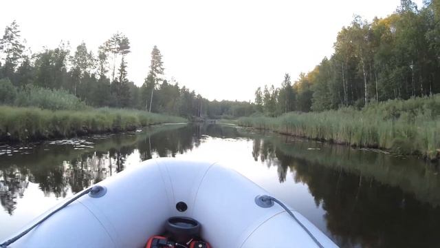 Оз.Селигер. Протока Княжна. Оз.Серемо. Река Черемуха (Серемуха). Встретил Бобра. смотреть онлайн