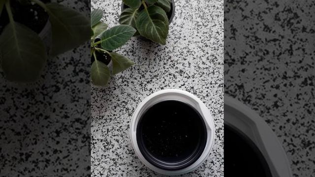 пересадка глоксиний смотреть онлайн