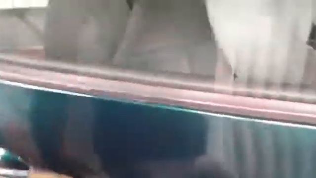 Peugeot 206 Chassis Number Engine Number Locations(Anjula)