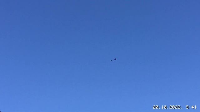 #Pigeons.Про воспаление глаза у голубей. смотреть онлайн