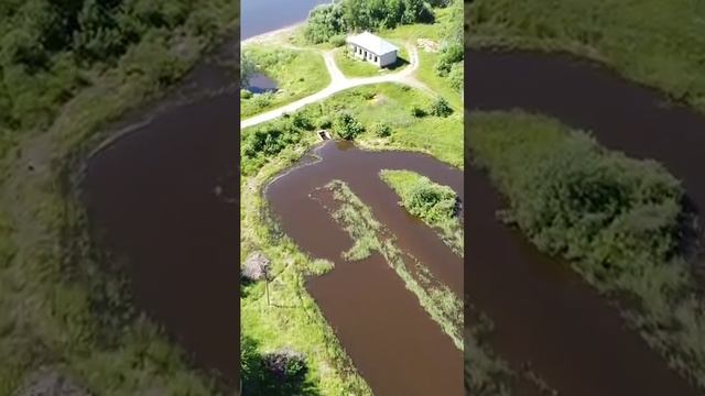 Афрризмы