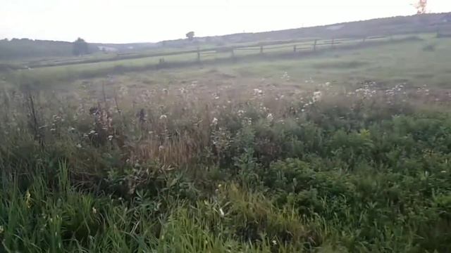 Заготовка сена тримером коровам/итог за лето/жизнь в деревне. смотреть онлайн