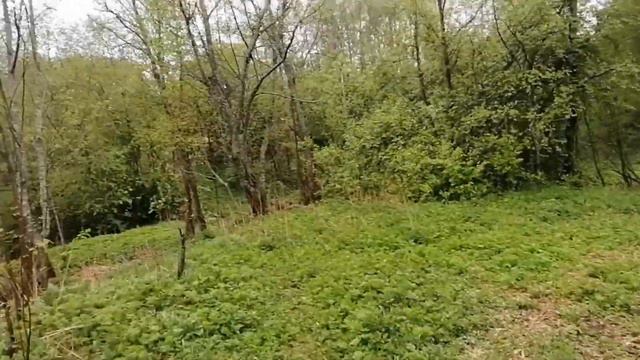 ИЗУЧАЕМ ОКРЕСНОСТИ, РЕЧКА ПОКША, ЕСТЬ РЫБА? ВЫЕЗД ЗА ПОЛЕ, МАЙ 2023, смотреть онлайн