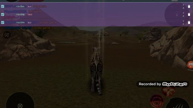 How To Hack The Cheetah! •TUTORIAL• смотреть онлайн