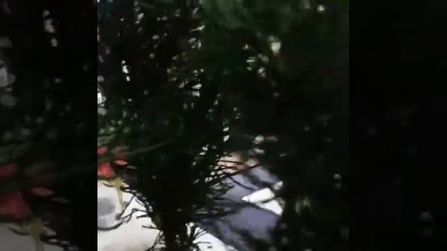 Макет школи з картону смотреть онлайн