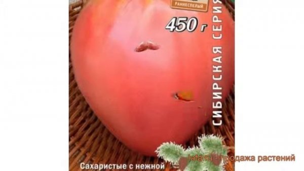 Томат обыкновенный Краса сибири (krasa sibiri) ? обзор: как сажать, семена томата Краса сибири