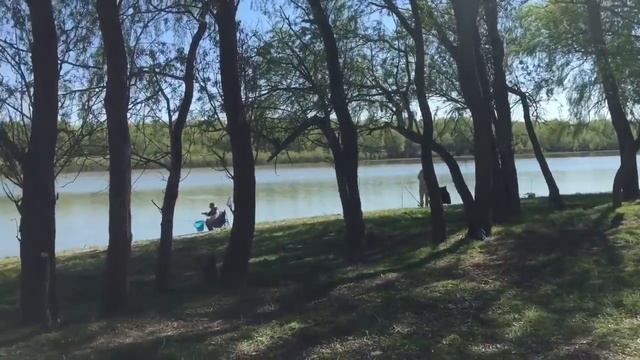 Рыбалка в Астрахани. Посёлок Черёмуха. Огромный окунь!!! смотреть онлайн