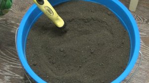 СДЕЛАЙТЕ ТАК И ОГУРЦЫ ПРОРАСТУТ ЧЕРЕЗ 12 ЧАСОВ! ПОСЕВ ОГУРЦОВ НА РАССАДУ!