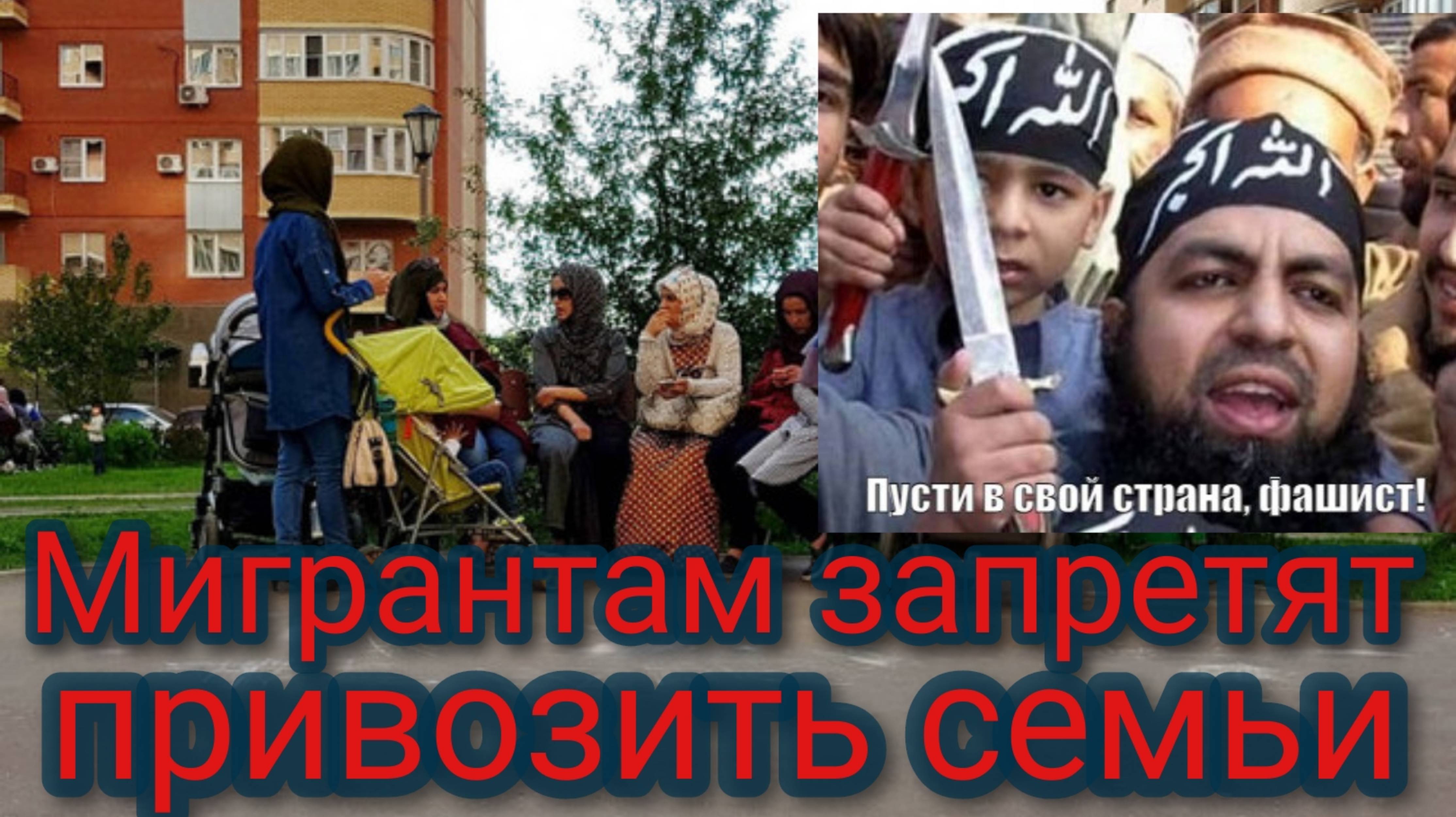 Мигрантам запретят привозить семьи в Россию смотреть онлайн