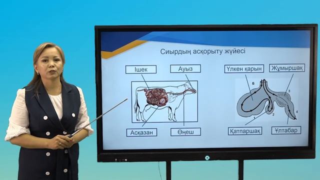 І тоқсан, биология, 8 сынып, 10 сабақ смотреть онлайн