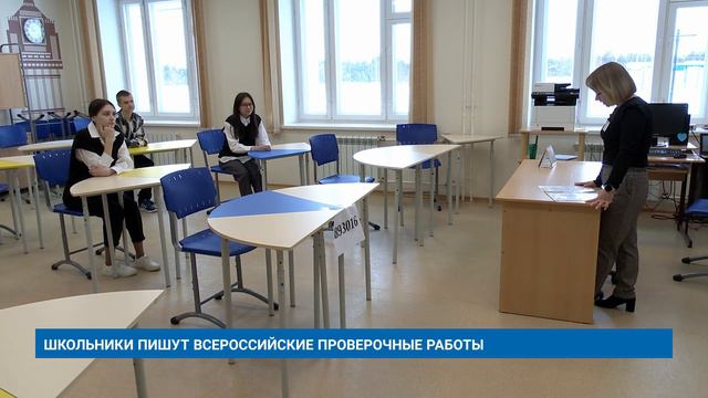 ШКОЛЬНИКИ ПИШУТ ВСЕРОССИЙСКИЕ ПРОВЕРОЧНЫЕ РАБОТЫ смотреть онлайн