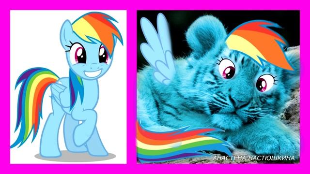 My Little Ponies Tigers !